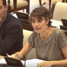 Rosa Martínez en Comisión de Energía: Comparecencia de Comisario Arias Cañete